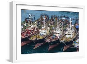 View over the Harbour and Fishing Fleet of Busan, South Korea, Asia-Michael-Framed Photographic Print