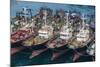 View over the Harbour and Fishing Fleet of Busan, South Korea, Asia-Michael-Mounted Photographic Print