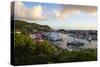 View over the harbour of Gustavia, St. Barth (St. Barthelemy), Lesser Antilles, West Indies, Caribb-Michael Runkel-Stretched Canvas