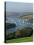 View over the Kingsbridge Estuary from East Portlemouth, Salcombe, Devon, England, United Kingdom-Tomlinson Ruth-Stretched Canvas