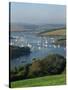 View over the Kingsbridge Estuary from East Portlemouth, Salcombe, Devon, England, United Kingdom-Tomlinson Ruth-Stretched Canvas