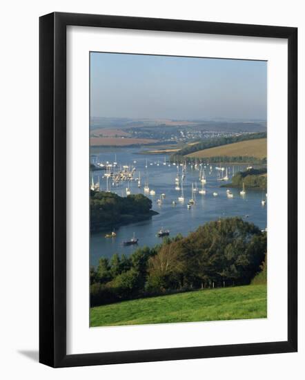 View over the Kingsbridge Estuary from East Portlemouth, Salcombe, Devon, England, United Kingdom-Tomlinson Ruth-Framed Photographic Print