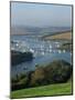 View over the Kingsbridge Estuary from East Portlemouth, Salcombe, Devon, England, United Kingdom-Tomlinson Ruth-Mounted Photographic Print