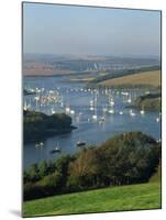 View over the Kingsbridge Estuary from East Portlemouth, Salcombe, Devon, England, United Kingdom-Tomlinson Ruth-Mounted Photographic Print