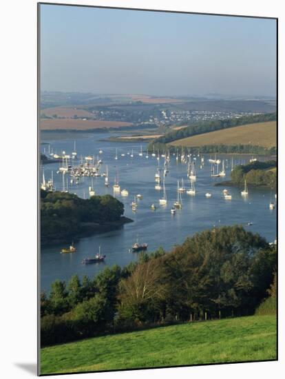 View over the Kingsbridge Estuary from East Portlemouth, Salcombe, Devon, England, United Kingdom-Tomlinson Ruth-Mounted Photographic Print