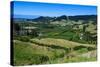 View over the Lush Valley of the Kahurangi National Park, South Island, New Zealand, Pacific-Michael Runkel-Stretched Canvas