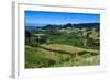 View over the Lush Valley of the Kahurangi National Park, South Island, New Zealand, Pacific-Michael Runkel-Framed Photographic Print