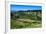 View over the Lush Valley of the Kahurangi National Park, South Island, New Zealand, Pacific-Michael Runkel-Framed Photographic Print