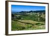 View over the Lush Valley of the Kahurangi National Park, South Island, New Zealand, Pacific-Michael Runkel-Framed Photographic Print