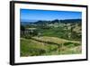 View over the Lush Valley of the Kahurangi National Park, South Island, New Zealand, Pacific-Michael Runkel-Framed Photographic Print