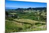 View over the Lush Valley of the Kahurangi National Park, South Island, New Zealand, Pacific-Michael Runkel-Mounted Photographic Print