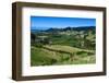 View over the Lush Valley of the Kahurangi National Park, South Island, New Zealand, Pacific-Michael Runkel-Framed Photographic Print