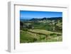 View over the Lush Valley of the Kahurangi National Park, South Island, New Zealand, Pacific-Michael Runkel-Framed Photographic Print