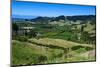 View over the Lush Valley of the Kahurangi National Park, South Island, New Zealand, Pacific-Michael Runkel-Mounted Photographic Print