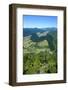 View over the Lush Valley of the Kahurangi National Park, South Island, New Zealand, Pacific-Michael Runkel-Framed Photographic Print