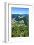 View over the Lush Valley of the Kahurangi National Park, South Island, New Zealand, Pacific-Michael Runkel-Framed Photographic Print