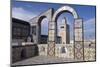 View over the Medina of Tunis and the Main Mosque, Tunisia, North Africa, Africa-Ethel Davies-Mounted Photographic Print