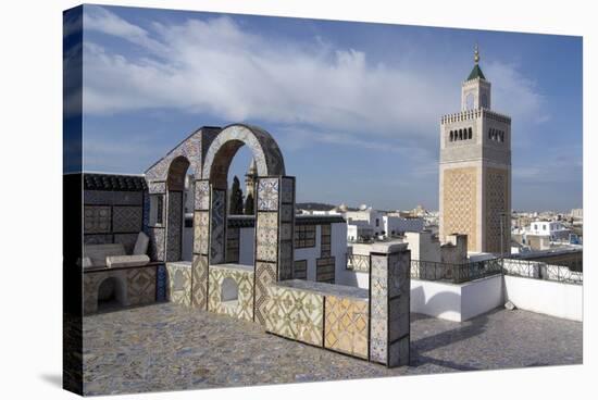 View over the Medina of Tunis Towards the Main Mosque, Tunisia, North Africa, Africa-Ethel Davies-Stretched Canvas
