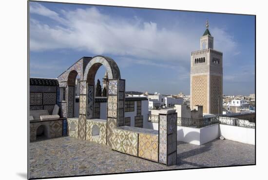 View over the Medina of Tunis Towards the Main Mosque, Tunisia, North Africa, Africa-Ethel Davies-Mounted Photographic Print