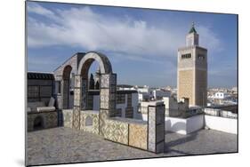 View over the Medina of Tunis Towards the Main Mosque, Tunisia, North Africa, Africa-Ethel Davies-Mounted Photographic Print