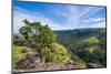 View over the mountains along Sogeri road, Port Moresby, Papua New Guinea, Pacific-Michael Runkel-Mounted Photographic Print