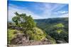 View over the mountains along Sogeri road, Port Moresby, Papua New Guinea, Pacific-Michael Runkel-Stretched Canvas