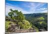 View over the mountains along Sogeri road, Port Moresby, Papua New Guinea, Pacific-Michael Runkel-Mounted Photographic Print