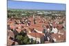 View over the Old Town of Noerdlingen, Romantische Strasse, Schwaben, Bavaria, Germany, Europe-Markus Lange-Mounted Photographic Print