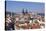 View over the Old Town (Stare Mesto) with Old Town Hall-Markus-Stretched Canvas