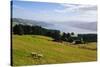 View over the Otago Peninsula, Otago, South Island, New Zealand, Pacific-Michael-Stretched Canvas