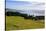 View over the Otago Peninsula, Otago, South Island, New Zealand, Pacific-Michael-Stretched Canvas