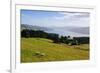 View over the Otago Peninsula, Otago, South Island, New Zealand, Pacific-Michael-Framed Photographic Print