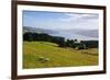 View over the Otago Peninsula, Otago, South Island, New Zealand, Pacific-Michael-Framed Photographic Print