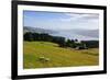 View over the Otago Peninsula, Otago, South Island, New Zealand, Pacific-Michael-Framed Photographic Print