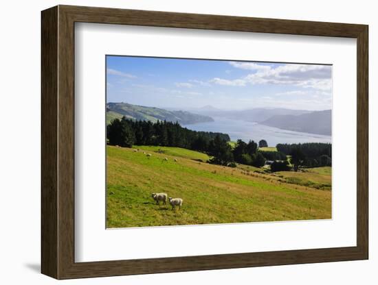 View over the Otago Peninsula, Otago, South Island, New Zealand, Pacific-Michael-Framed Photographic Print