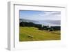 View over the Otago Peninsula, Otago, South Island, New Zealand, Pacific-Michael-Framed Photographic Print