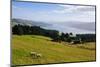 View over the Otago Peninsula, Otago, South Island, New Zealand, Pacific-Michael-Mounted Photographic Print