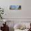 View over the Picturesque Tologa Bay Wharf, Tologa Bay, East Cape, North Island, New Zealand-Doug Pearson-Photographic Print displayed on a wall