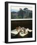 View over the Pingo Gardens from the Hotel Eden, Rome, Lazio, Italy, Europe-Olivieri Oliviero-Framed Photographic Print