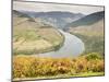 View over the River Duoro in autumn, Portugal, Europe-Jean Brooks-Mounted Photographic Print