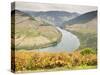 View over the River Duoro in autumn, Portugal, Europe-Jean Brooks-Stretched Canvas