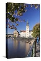 View over the River Vltava to Smetana Museum and Charles Bridge-Markus-Stretched Canvas