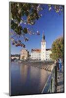 View over the River Vltava to Smetana Museum and Charles Bridge-Markus-Mounted Photographic Print