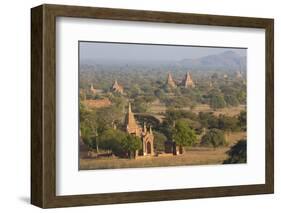 View over the Temples of Bagan Bathed in Evening Sunlight-Lee Frost-Framed Photographic Print