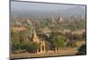 View over the Temples of Bagan Bathed in Evening Sunlight-Lee Frost-Mounted Photographic Print