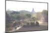 View over the Temples of Bagan Swathed in Early Morning Mist-Lee Frost-Mounted Photographic Print