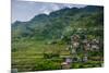 View over the Town of Banaue, Northern Luzon, Philippines-Michael Runkel-Mounted Photographic Print