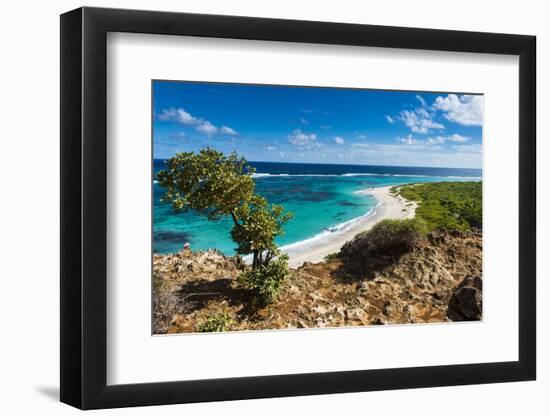 View over the Turquoise Waters of Barbuda-Michael Runkel-Framed Photographic Print