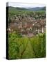View over the Village of Riquewihr and Vineyards in the Wine Route Area, Alsace, France, Europe-Yadid Levy-Stretched Canvas