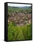View over the Village of Riquewihr and Vineyards in the Wine Route Area, Alsace, France, Europe-Yadid Levy-Framed Stretched Canvas